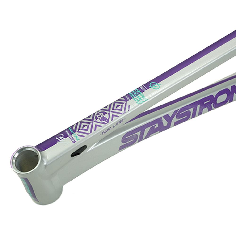 Stay Strong For Life V5.1 Pro XXL Frame – Source BMX - US