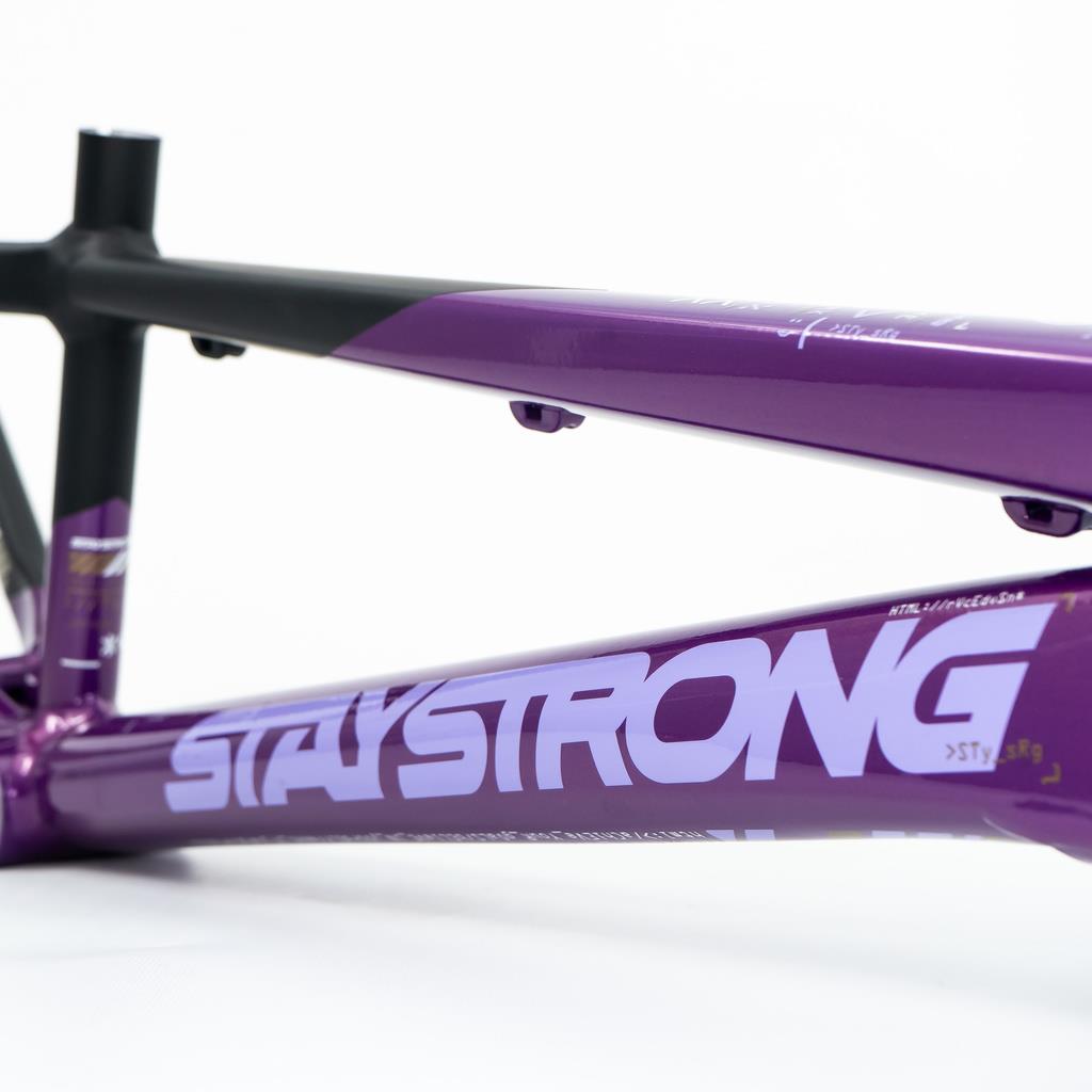 【希少パープルカラー】プロファイルレーシング36t ピストbmx fgfs Stay Strong For Life V5 Junior Frame 2025 – Source BMX - US