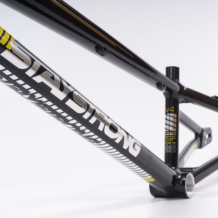 Stay Strong Per la vita 2023 V4 Junior Frame di gara - Disco Versione