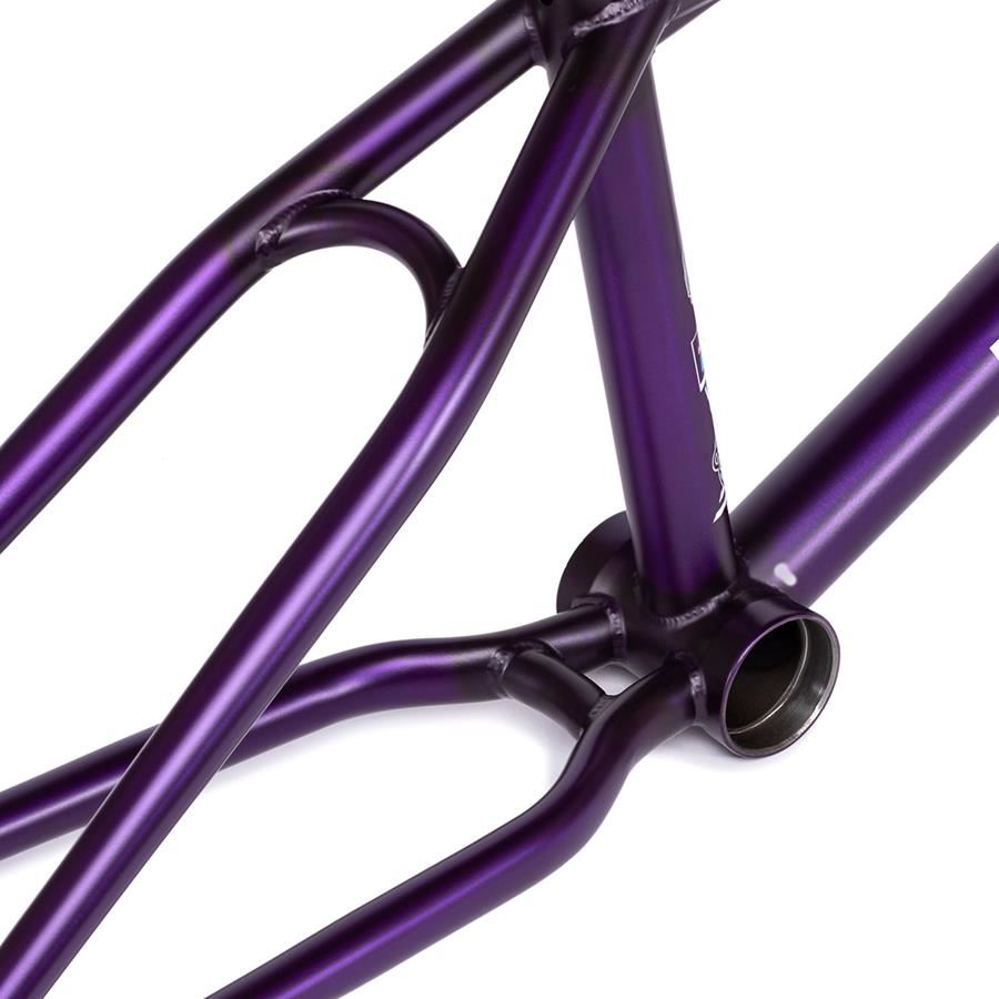 Wethepeople Doomsayer Frame