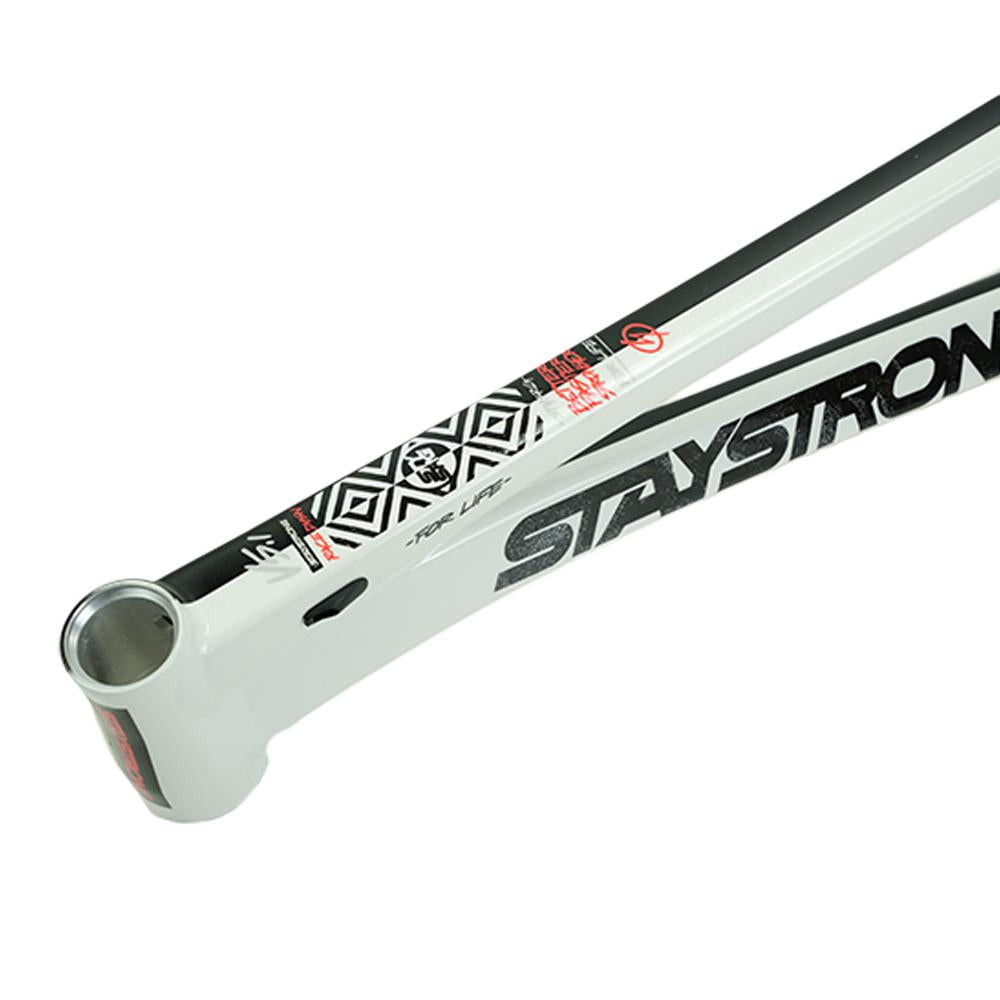 Stay Strong For Life V5.1 Pro XL Frame – Source BMX - US