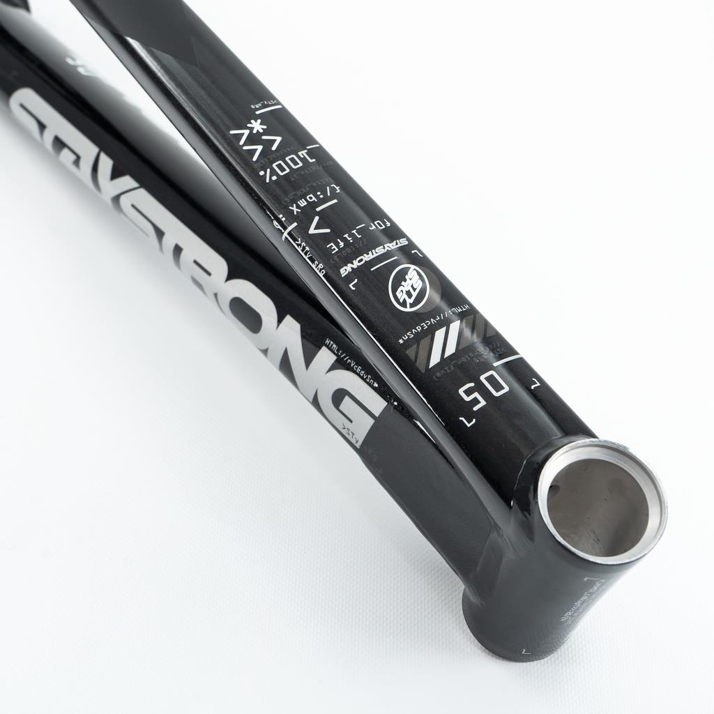 Stay Strong For Life V5 Mini Frame 2025
