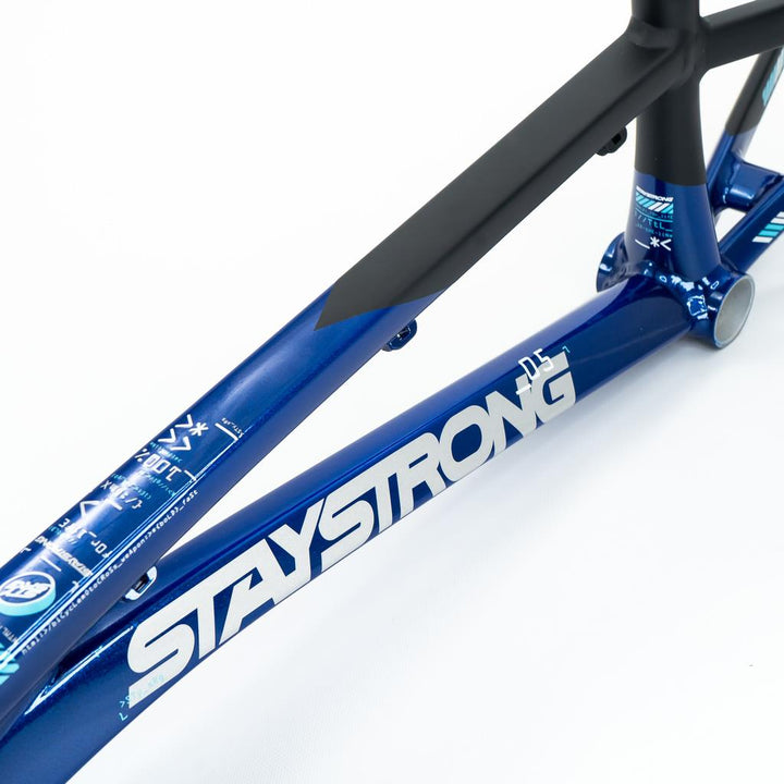 Stay Strong For Life V5 Pro Frame 2025