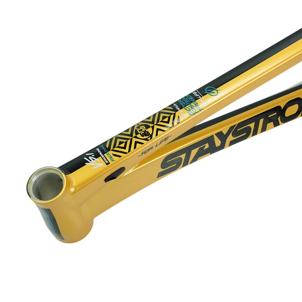 Stay Strong For Life V5.1 Pro XXL Frame