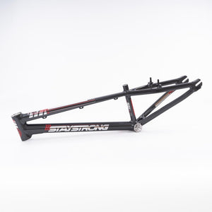 Expert store xl frame