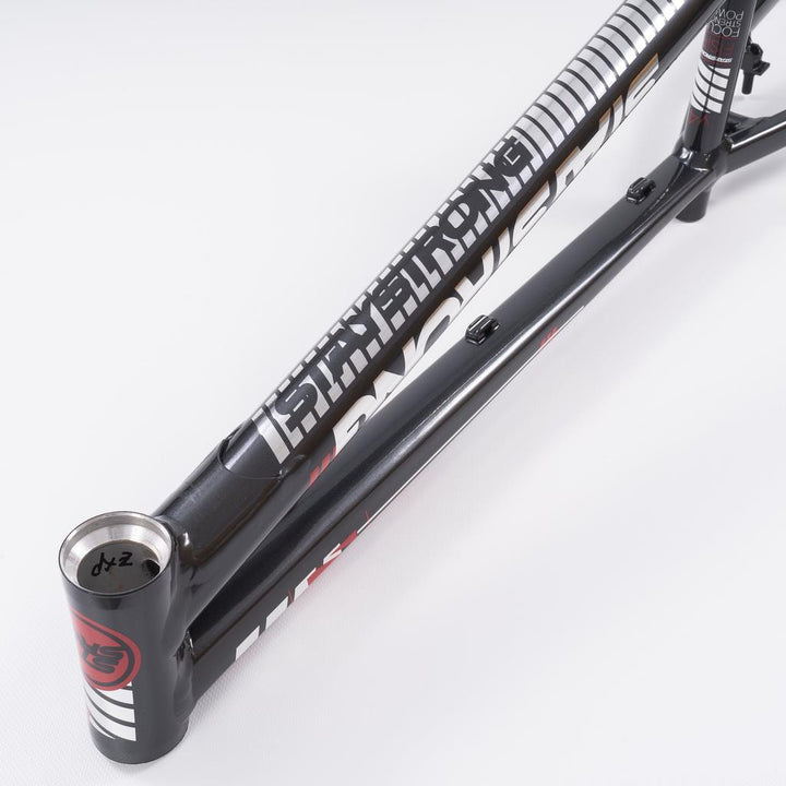 Stay Strong For Life 2023 V4 Expert XL Race Frame