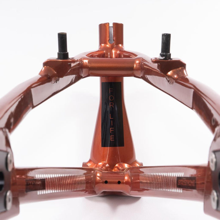 Stay Strong Pour la vie 2023 v4 Pro XXXL Course Cadre