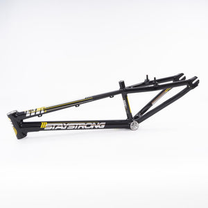 Stay Strong For Life 2023 V4 Expert Race Frame