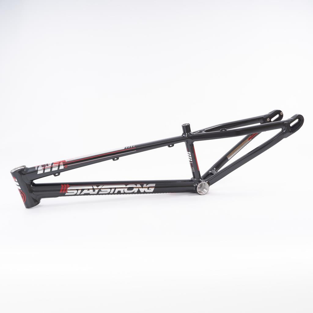 Stay Strong For Life 2023 V4 Expert Race Frame - Disc Version