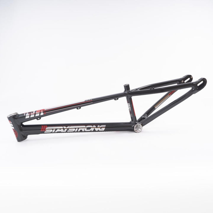 Stay Strong For Life 2023 V4 Expert Race Frame - Disc Version