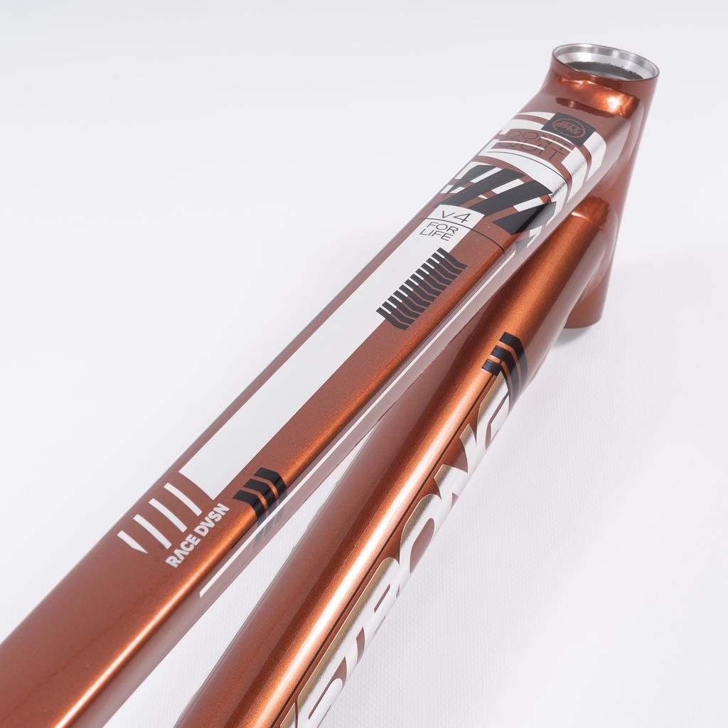 Stay Strong For Life 2023 V4 Cruiser Expert XL Race Frame