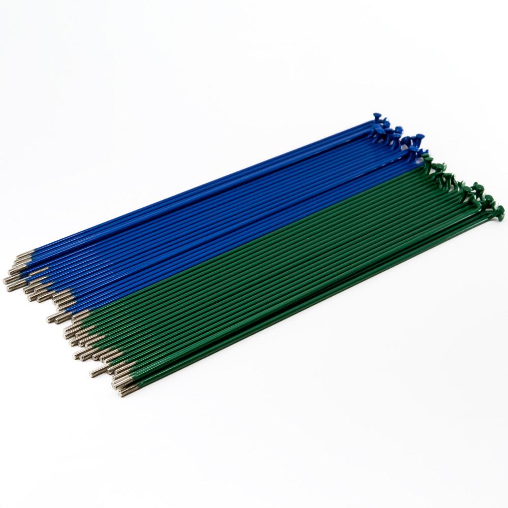 Source en acier inoxydable (40 pack) - bleu / vert