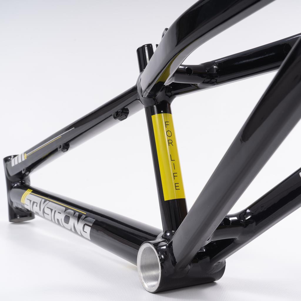 Stay Strong For Life 2023 V4 Expert Race Frame - Disc Version