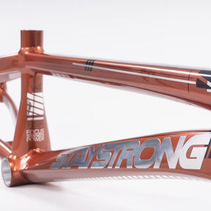 Stay Strong For Life 2023 V4 Pro Race Frame - Disc Version