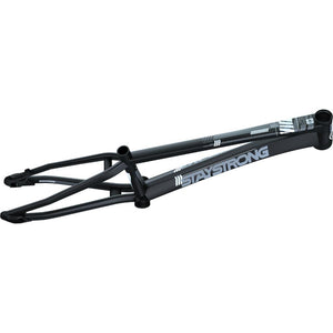 Stay Strong For Life V4 Expert Race Frame