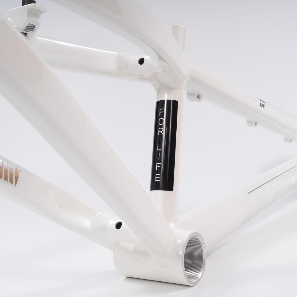 Stay Strong For Life 2023 V4 Cruiser Expert XL Race Frame