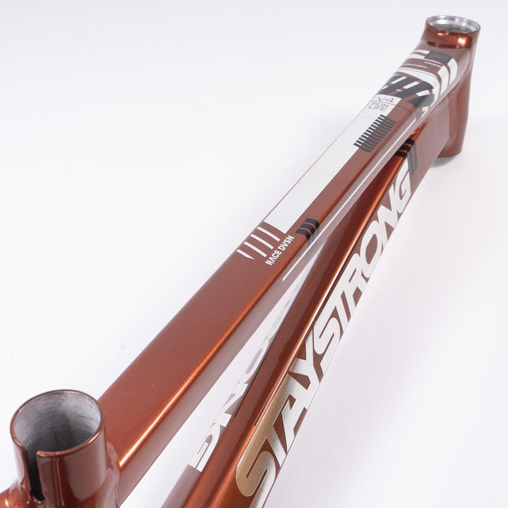 Stay Strong Por vida 2023 v4 Pro XXXL Carrera Cuadro - Disco Versión