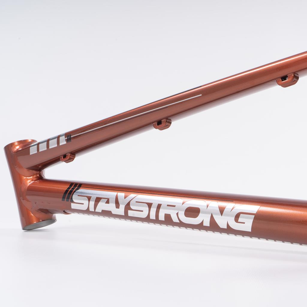 Stay Strong For Life 2023 V4 Junior Race Frame