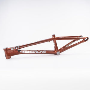 Stay Strong For Life 2023 V4 Pro Race Frame - Disc Version