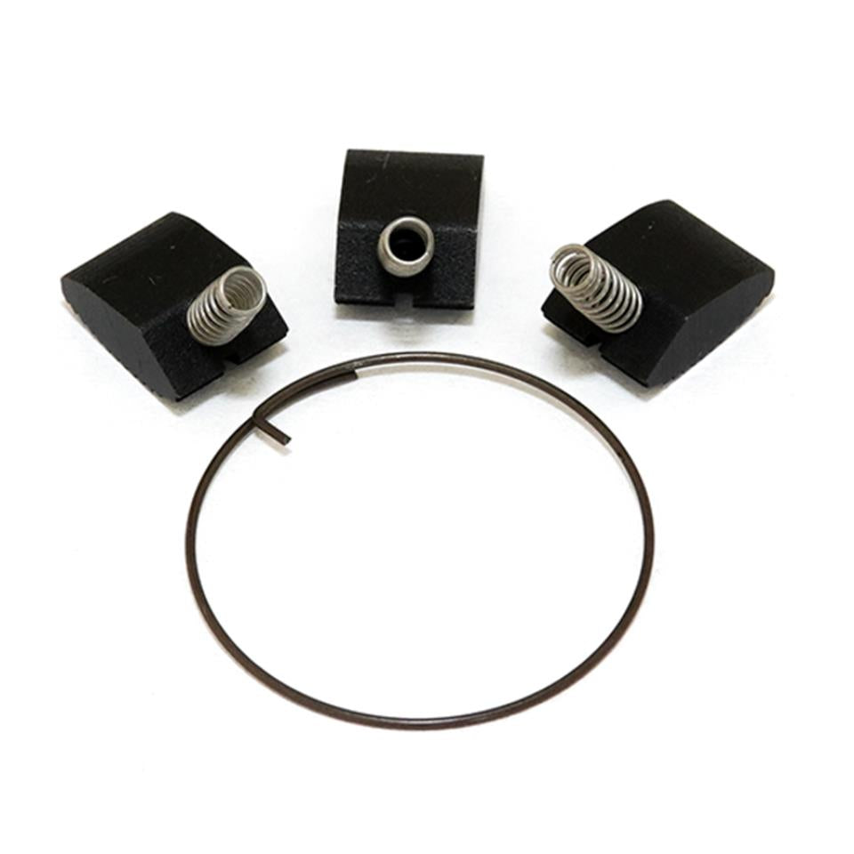 Box Three Pro rear hub pawl & spring set