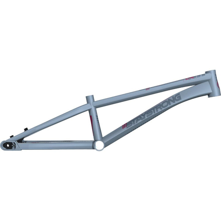Stay Strong For Life V4 Junior Race Frame