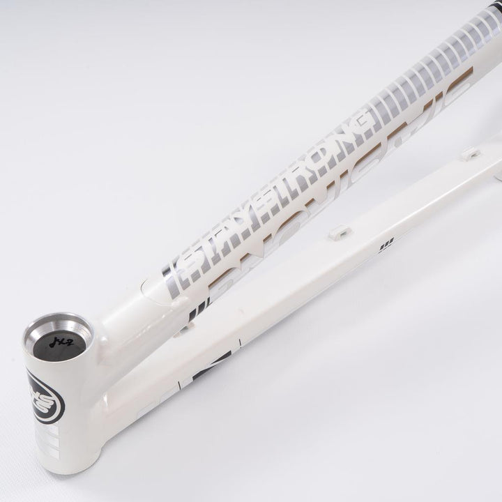 Stay Strong For Life 2023 V4 Cruiser Expert XL Race Frame