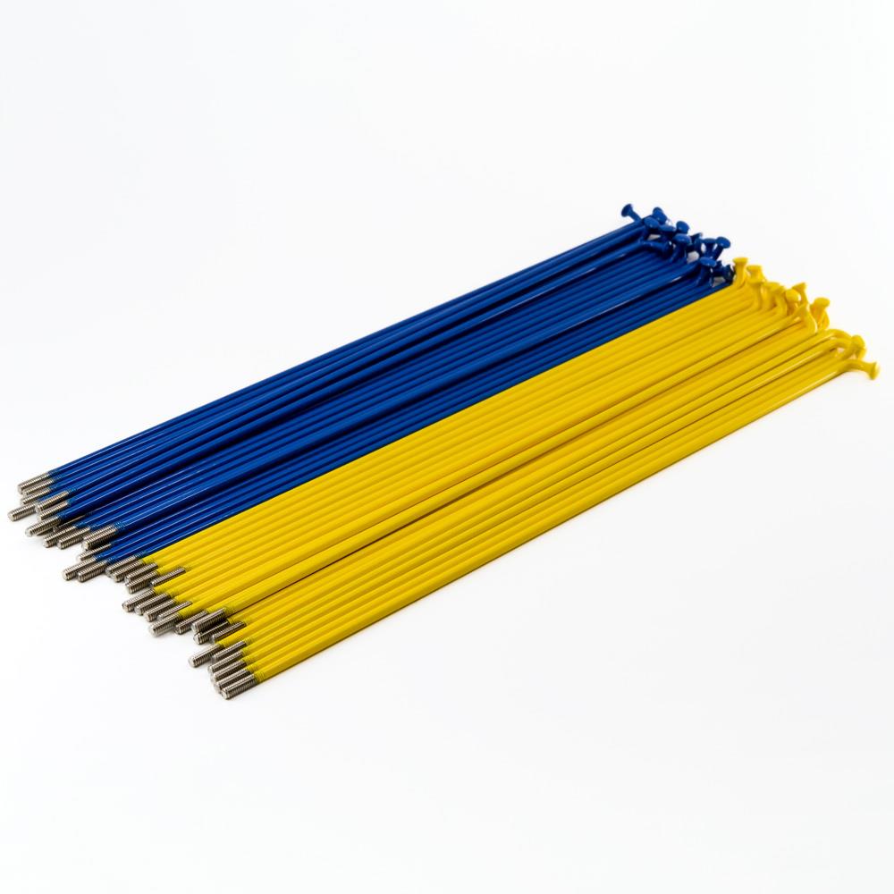 Source en acier inoxydable (40 pack) - bleu / jaune