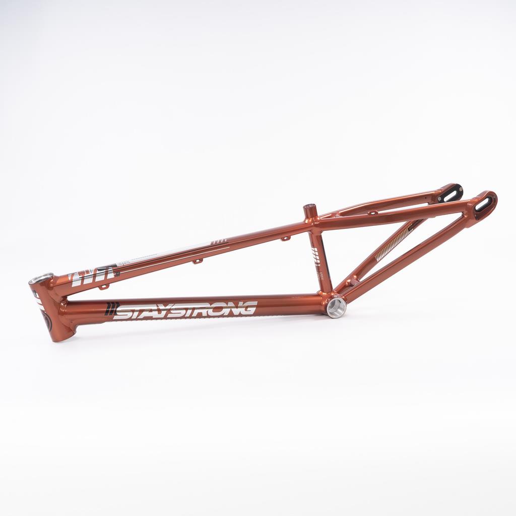 Stay Strong For Life 2023 V4 Expert XL Race Frame - Disc Version