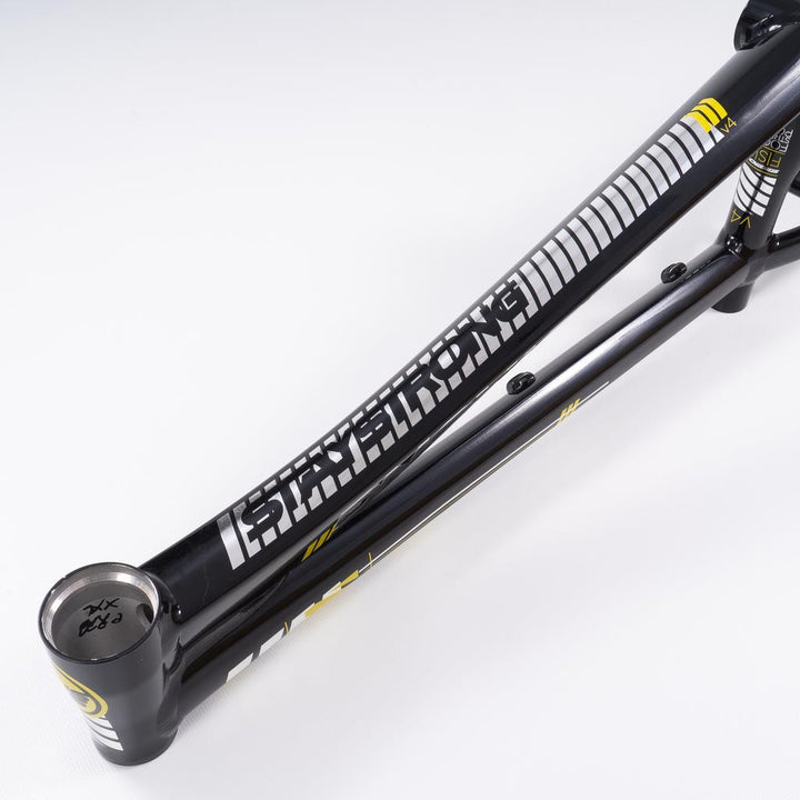 Stay Strong Pour la vie 2023 v4 Pro XXXL Course Cadre