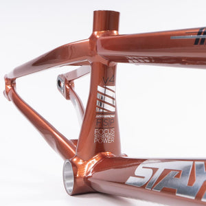 Stay Strong For Life 2023 V4 Pro Race Frame - Disc Version