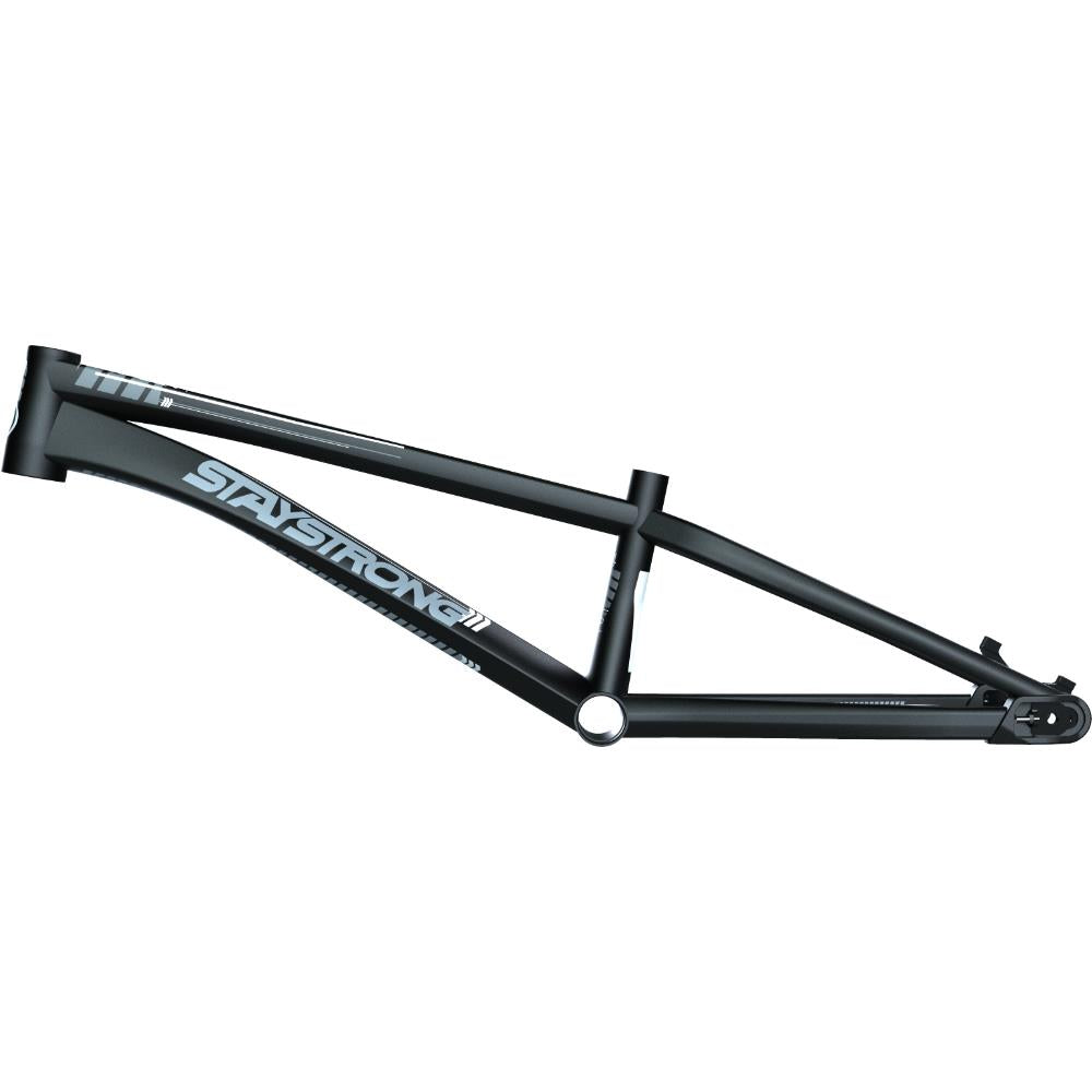 Stay Strong For Life V4 Expert XL Race Frame