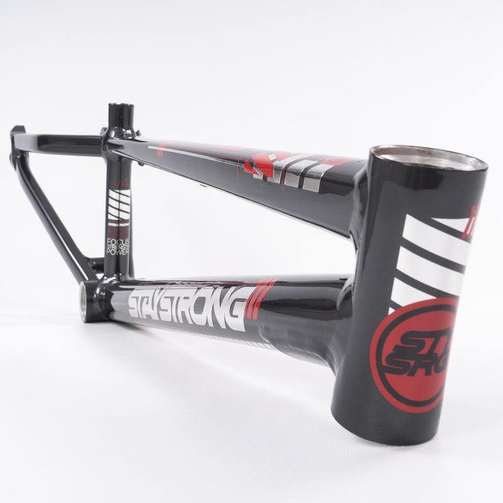 Stay Strong For Life 2023 V4 Expert Race Frame - Disc Version
