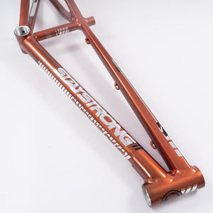 Stay Strong For Life 2023 V4 Cruiser Expert XL Race Frame - Disc Version