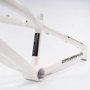 Stay Strong For Life 2023 V4 Cruiser Expert XL Race Frame - Disc Version