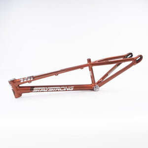 Stay Strong For Life 2023 V4 Cruiser Expert XL Race Frame - Disc Version