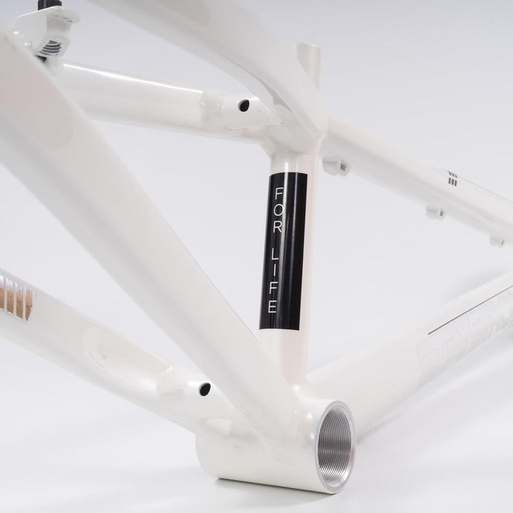 Stay Strong For Life 2023 V4 Expert XL Race Frame